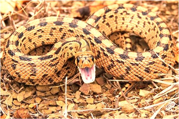 夢見前男友發信息說中彈是怎么回事_周公解夢官網