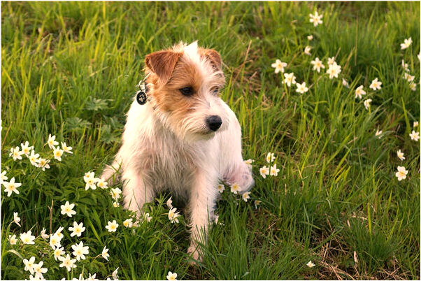 夢到挖出好多蛇季節是冬有何寓意_周公解夢官網