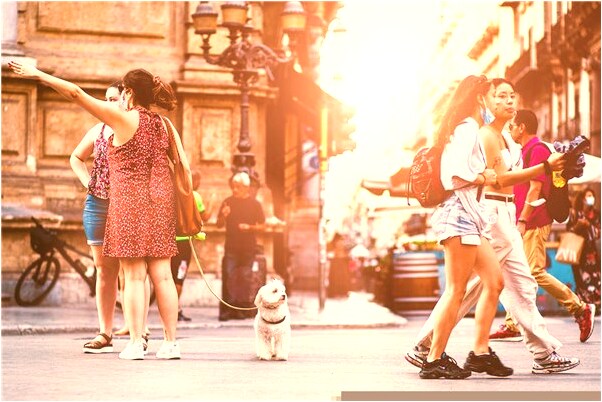 夢到自己殺死老鼠有什麼意思嗎_周公解夢官網