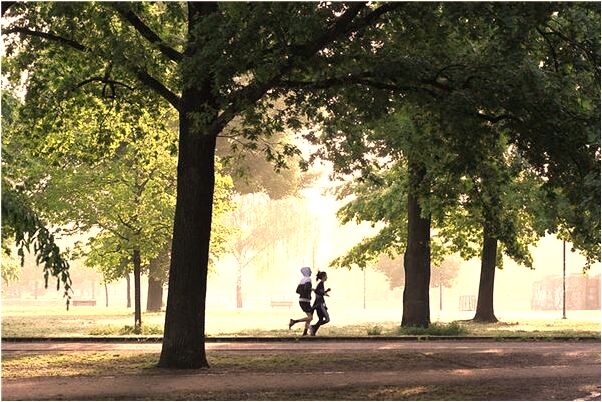 夢見別家烽窩煤轉移地方預兆了什麼嗎_周公解夢官網