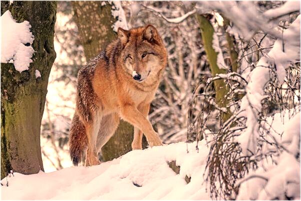 夢到女友全身是血是好的徵兆嗎_周公解夢官網