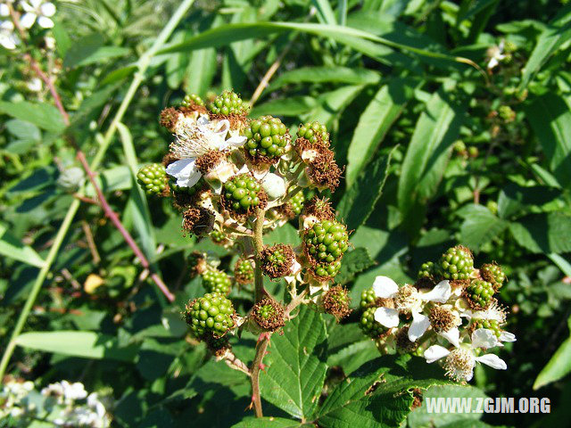 夢見丈夫臉上有血_周公解夢夢到丈夫臉上有血是什麼意思_做夢夢見丈夫臉上有血好不好_周公解夢官網