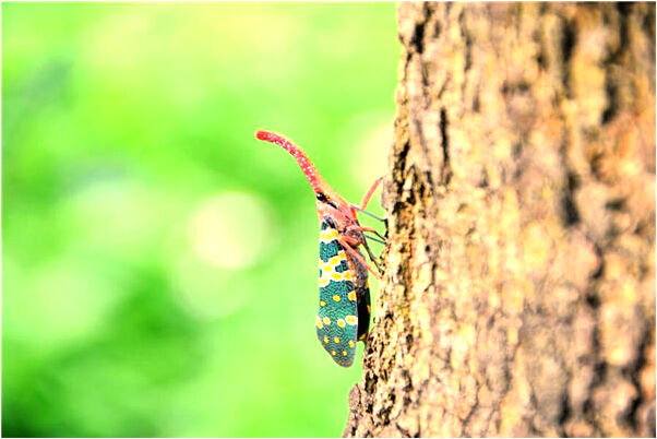 夢到了男孩很漂亮有什麼意思_周公解夢官網