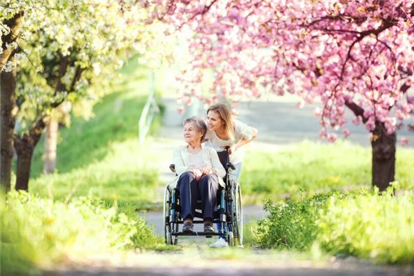 夢見死去的奶奶還活著和我說話_周公解夢