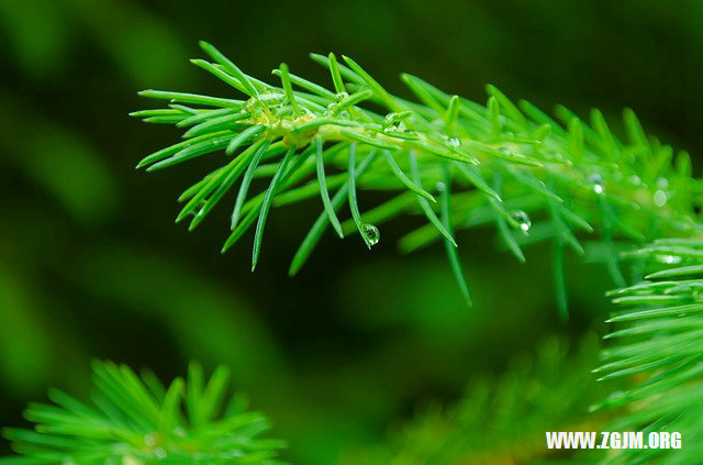 夢見身篦裡面有精子_周公解夢夢到身篦裡面有精子是什麼意思_做夢夢見身篦裡面有精子好不好_周公解夢官網