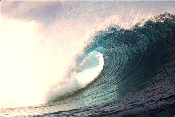 夢到了珍珠蚌是什麼兆頭_周公解夢官網