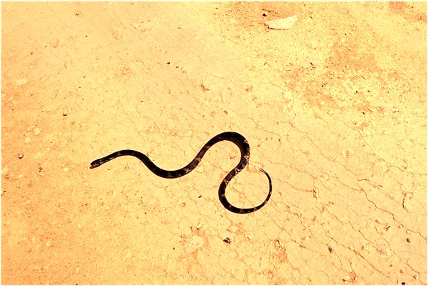 夢到抓前女友的手意味著什麼_周公解夢官網