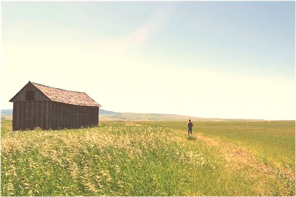 夢到自己罵死去的爸爸怎么樣_周公解夢官網