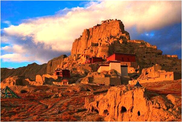 夢到一隻白雞和一隻黑雞怎么說_周公解夢官網