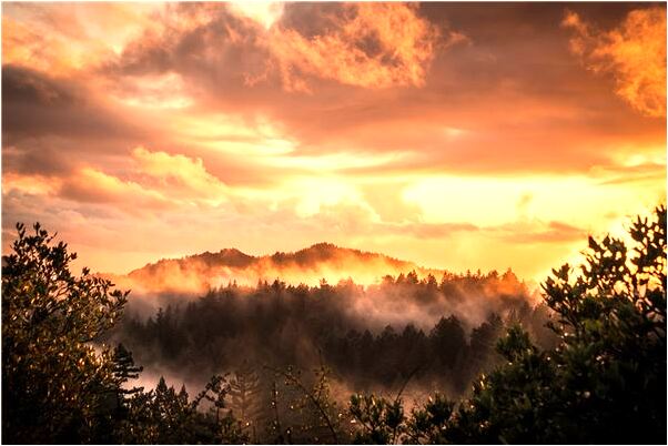 夢到了狗眼睛壞了一隻啥意思_周公解夢官網