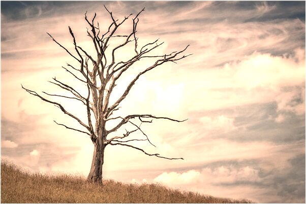 夢到潛水的龍會是什麼預兆_周公解夢官網