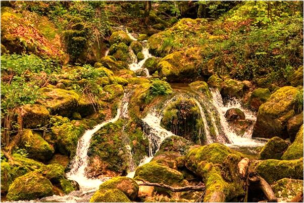 夢到和自己的弟弟睡在一起有什麼意思_周公解夢官網