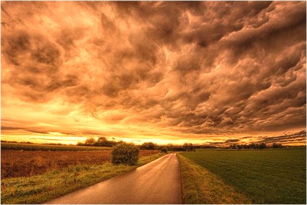 夢到了踩在糞便上是不是好的徵兆呢_周公解夢官網