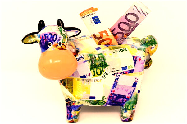 夢到抓到大黃兔子是什麼啟示_周公解夢官網