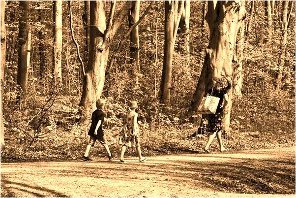 夢見同事家的小男孩我很喜歡意味著什麼_周公解夢官網