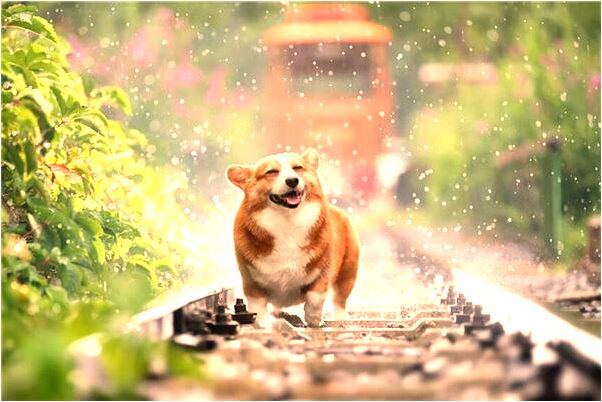 夢到了跟鄰居吵架有什麼徵兆_周公解夢官網