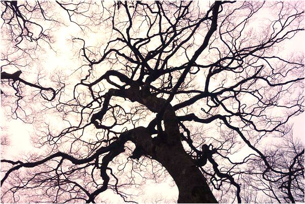 夢見舊同事穿短褲代表著什麼_周公解夢官網