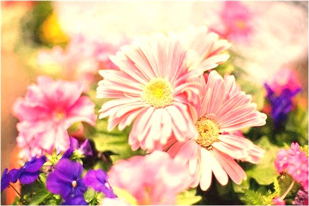 夢見求極限是好的徵兆嗎_周公解夢官網