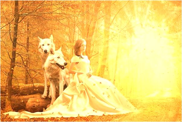 夢到婆婆要求和男友同房啥意思_周公解夢官網