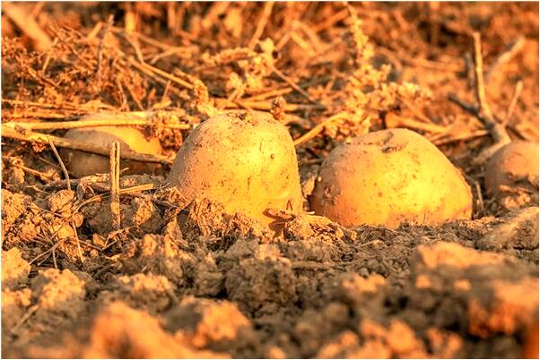 夢見在房頂安鋼架有什麼預兆_周公解夢官網