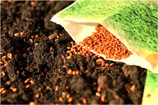 夢見樓倒自己跑出來什麼預兆_周公解夢官網