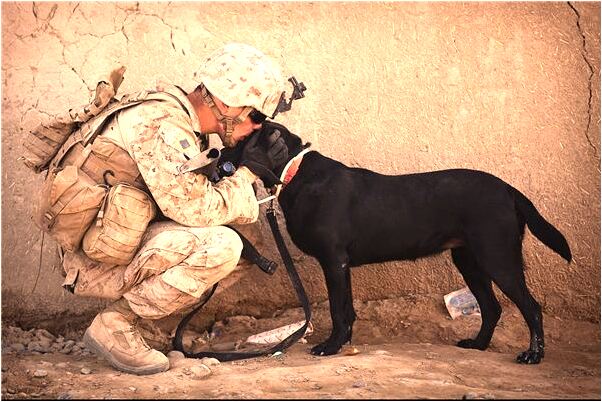 夢到惡臭腐爛的屍體會是什麼預兆_周公解夢官網