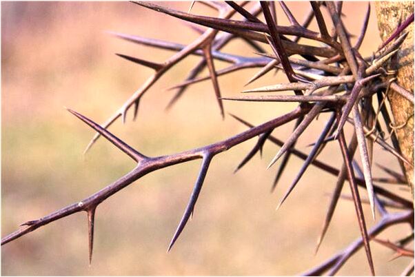 夢到一個剛認識的男孩預示了什麼_周公解夢官網