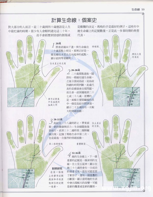 《手相學習百科》：生命線