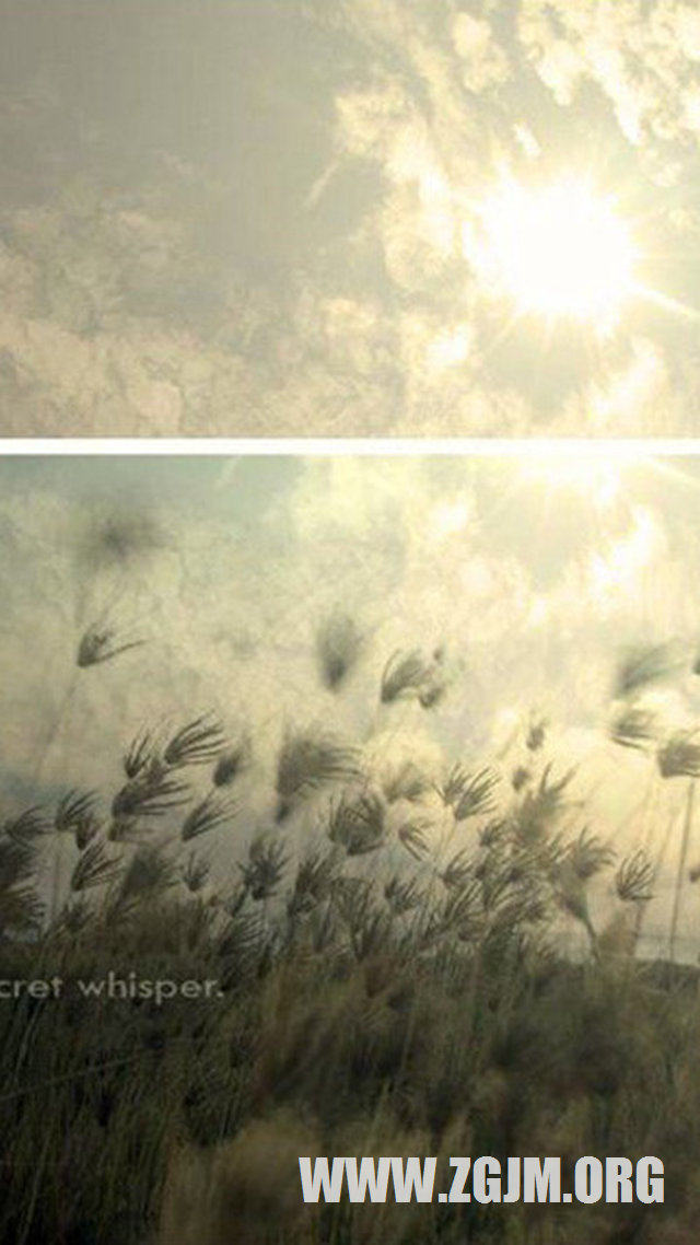 夢見喜歡的女孩_周公解夢夢到喜歡的女孩是什麼意思_做夢夢見喜歡的女孩好不好_周公解夢官網