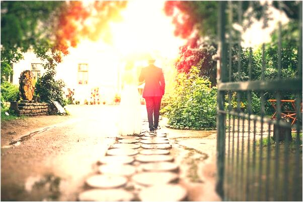 夢到男性遛狗親我臉會有什麼預兆_周公解夢官網