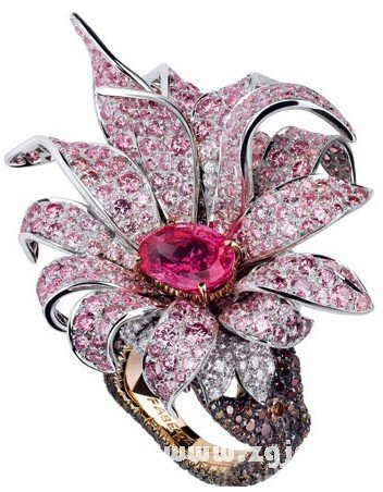 夏日屬於12星座的花草指環_十二星座