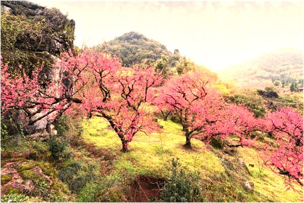夢到了已故的爸爸拄著拐杖是不是好的徵兆呢_周公解夢官網