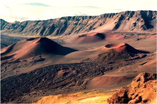 夢到綠豆芽菜意味著什麼_周公解夢官網