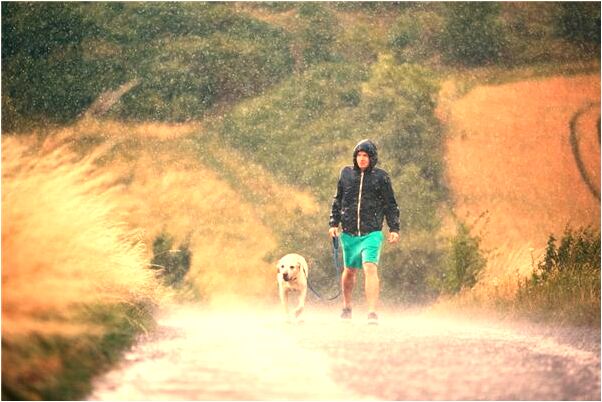 夢到和女人一起往家搬運木頭是什麼兆頭_周公解夢官網