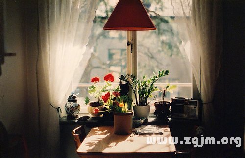 12星座誰最花心，12星座男誰最花心，12星座女誰_十二星座