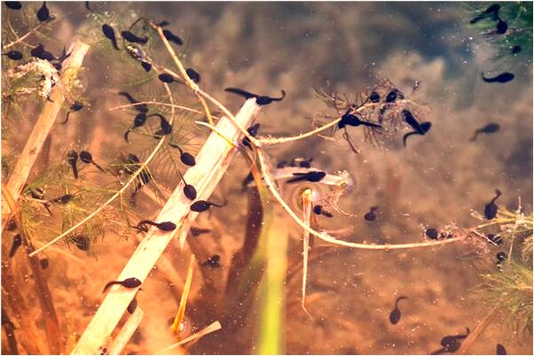 夢到了黑洞擋住去路會是什麼預兆_周公解夢官網