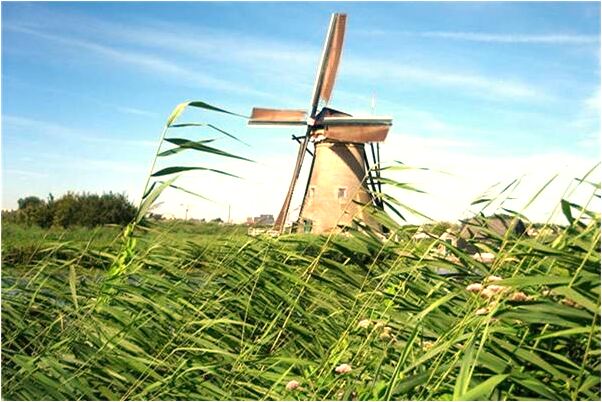 夢到了報英語專業有何寓意_周公解夢官網