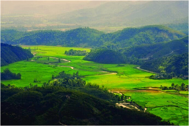 夢到車牌上好了是什麼兆頭_周公解夢官網