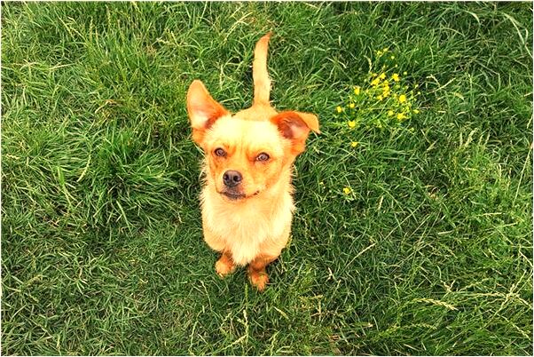 夢到和老婆做愛被人抓到了是什麼徵兆_周公解夢官網