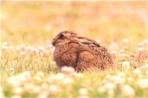 夢到了用雨傘在廁所撈鎖頭預兆了什麼嗎_周公解夢官網
