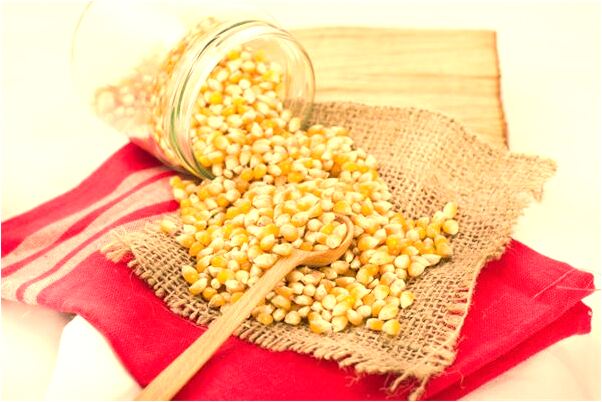 夢到很多小鴿子的預兆_周公解夢官網