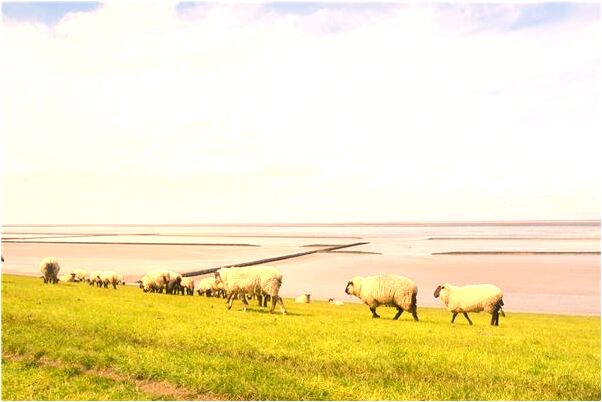 夢到給爸爸打新毛衣是什麼兆頭_周公解夢官網