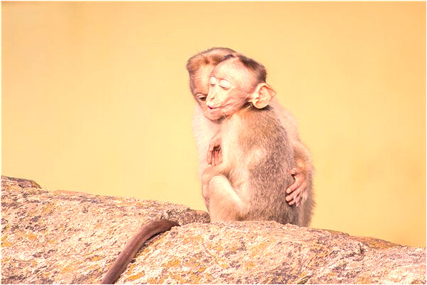 夢見小孩玩土是什麼意思_周公解夢官網