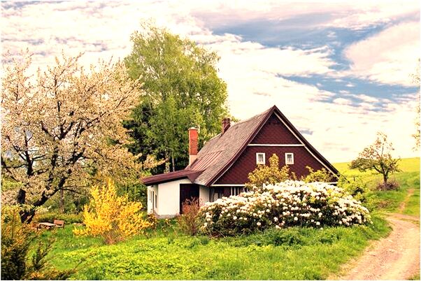 夢見被狗咬蛋沒咬到是什麼徵兆_周公解夢官網