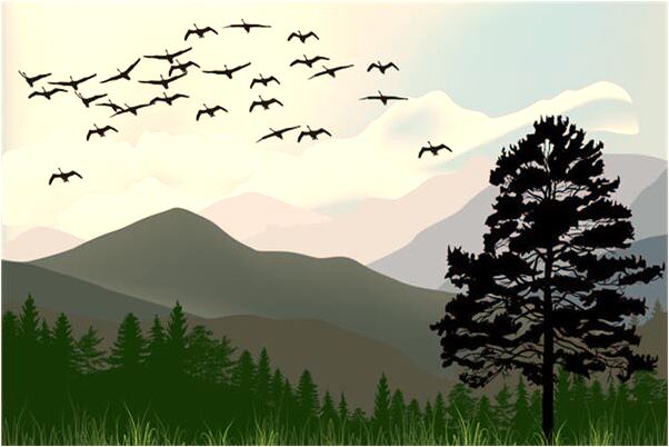 夢見我手腳在流血是吉兆嗎?_周公解夢官網