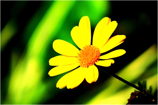 夢見我和喜歡我的女孩分手是怎么回事_周公解夢官網