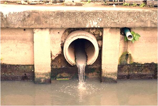 夢見吃炒白菜是什麼意思_周公解夢官網