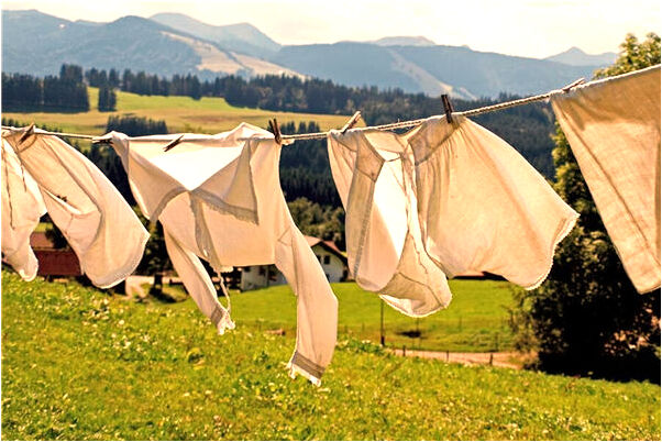 夢到別人送我魚有什麼意義嗎_周公解夢官網