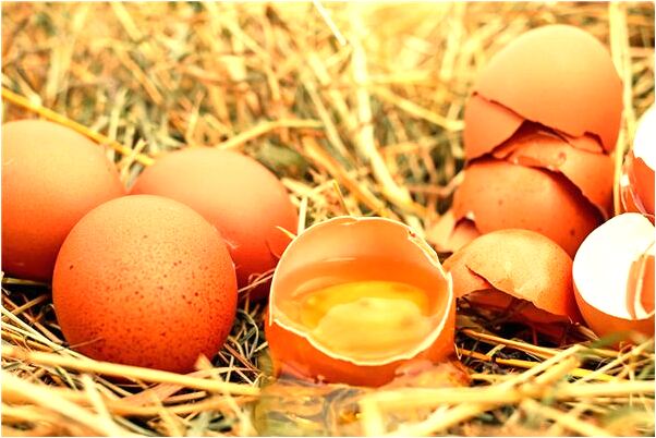 夢到過失致人死亡會是什麼預兆_周公解夢官網