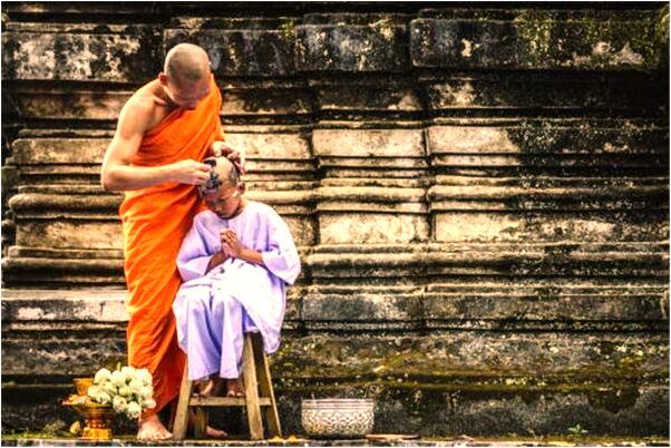 夢到了一片開放的鮮花是吉兆嗎?_周公解夢官網